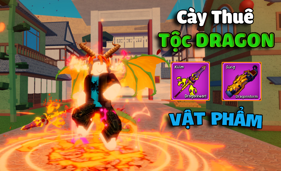 THUÊ CÀY RACE DRACO